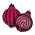 onion (2)